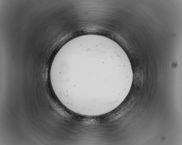 X0000099550454200806061520