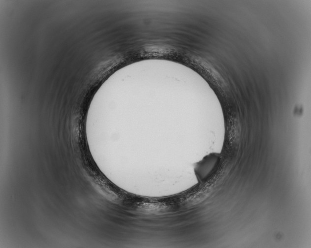 X0000099550455200806061520