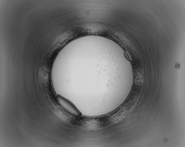 X0000099550456200806061520