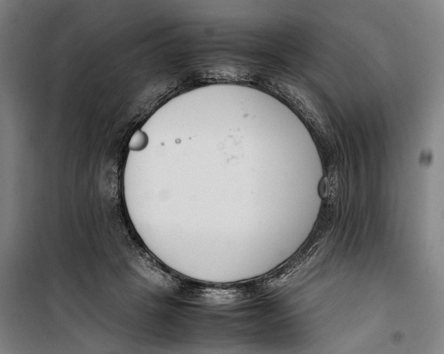 X0000099550457200806061520