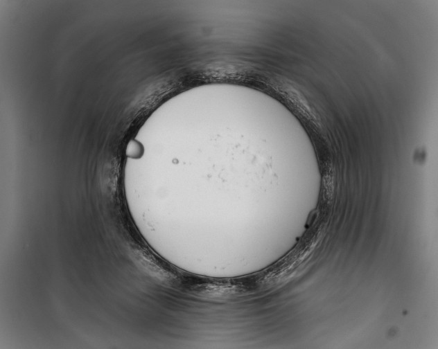 X0000099550458200806061520