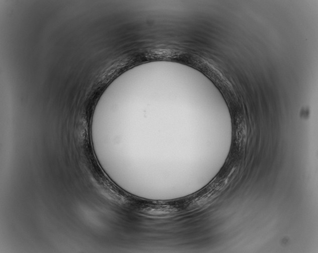 X0000099550459200806061520