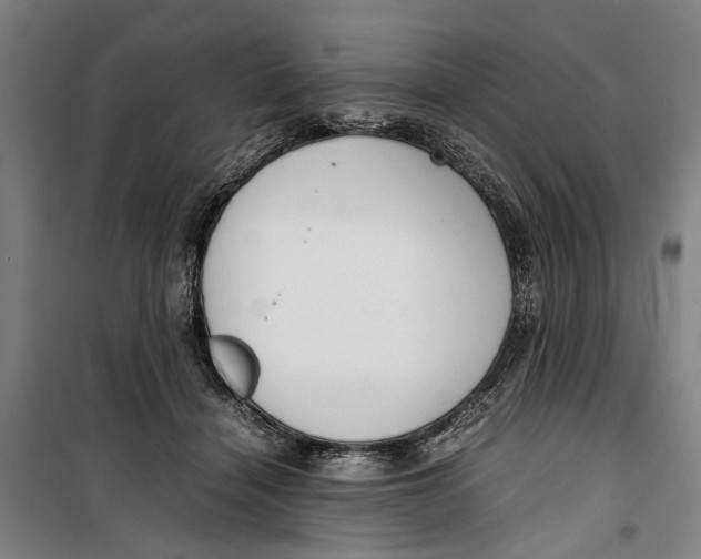 X0000099550460200806061520