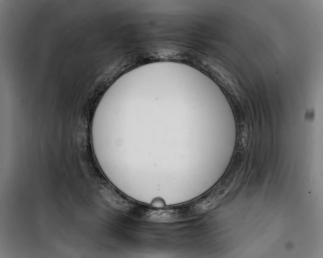 X0000099550461200806061520