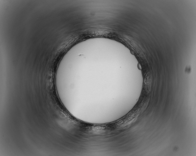 X0000099550462200806061520