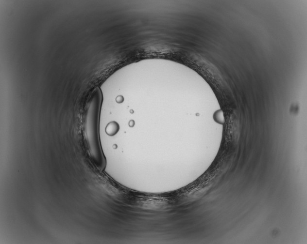 X0000099550463200806061520