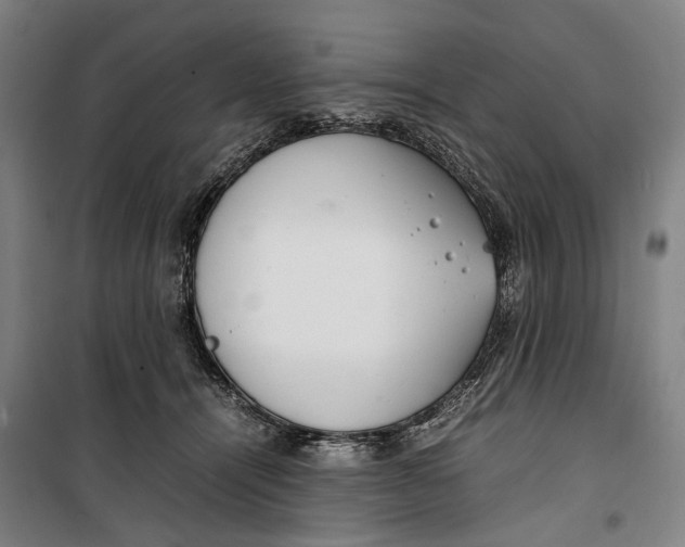 X0000099550464200806061520