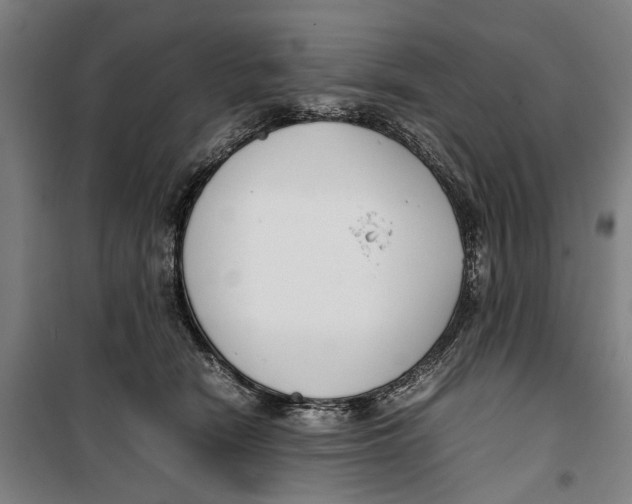 X0000099550466200806061520