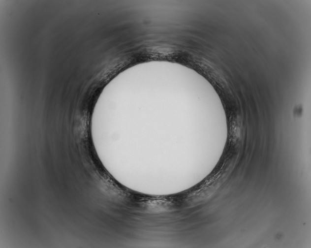 X0000099550468200806061521