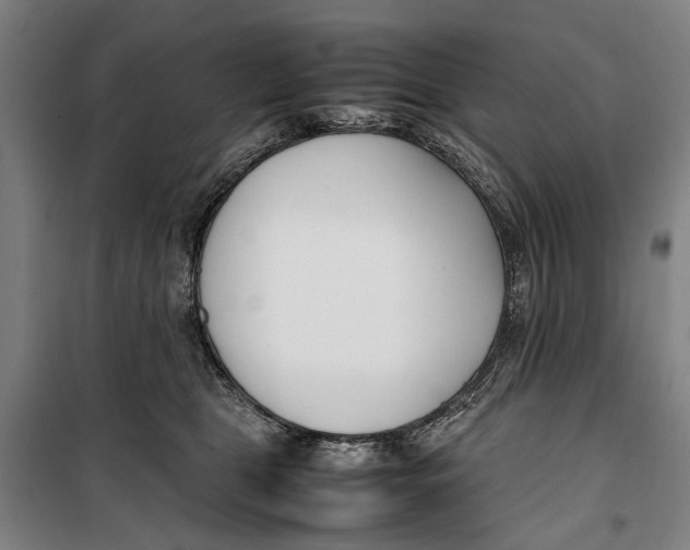 X0000099550469200806061521