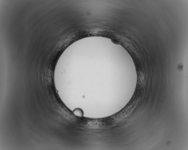 X0000099550470200806061521