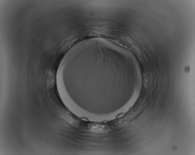 X0000099550471200806061521