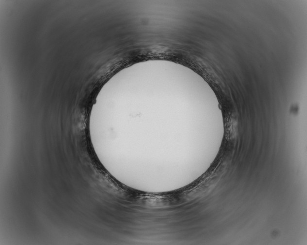 X0000099550472200806061521