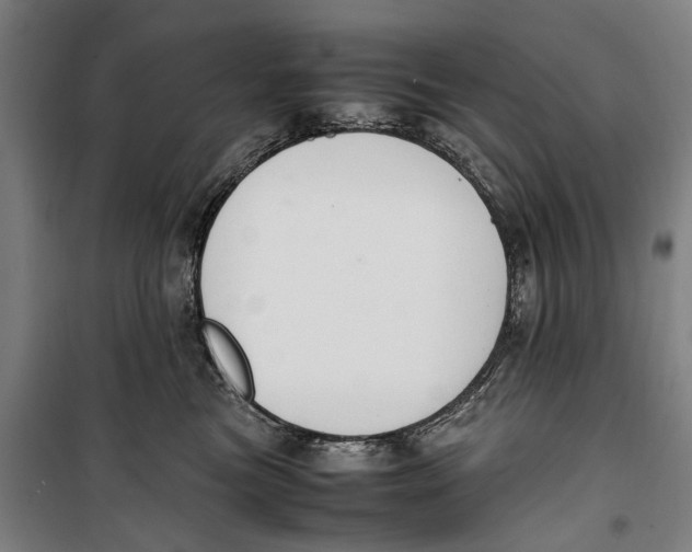 X0000099550473200806061521