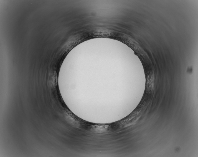 X0000099550474200806061521