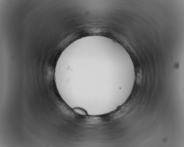 X0000099550476200806061521