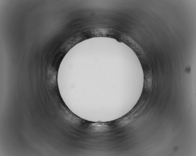 X0000099550477200806061521