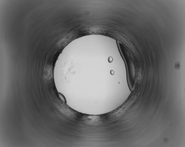 X0000099550478200806061521