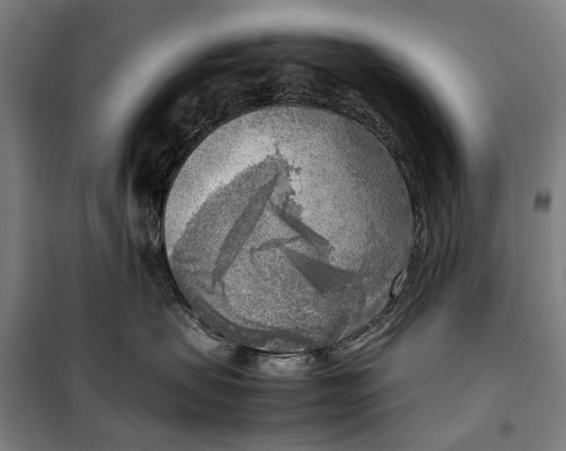 X0000099550479200806061521