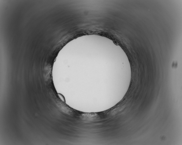 X0000099550480200806061521