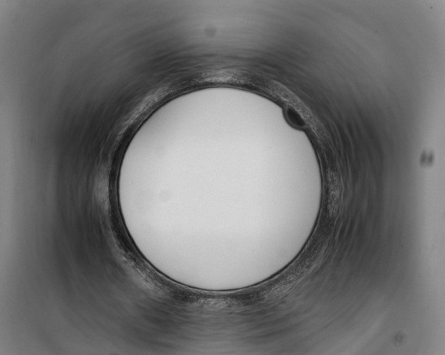 X0000099550482200806061520