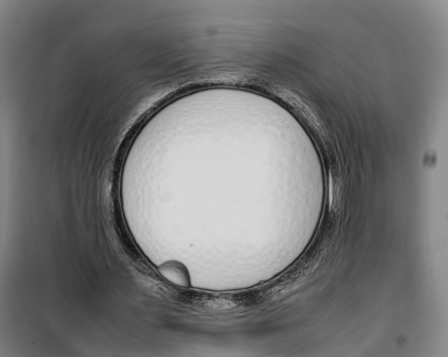 X0000099550483200806061520