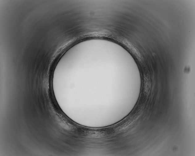 X0000099550486200806061520