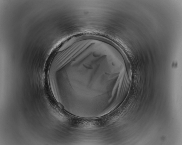 X0000099550488200806061520