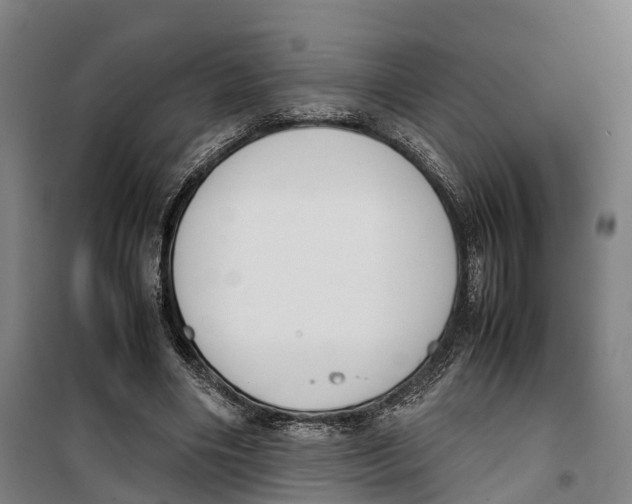 X0000099550490200806061520