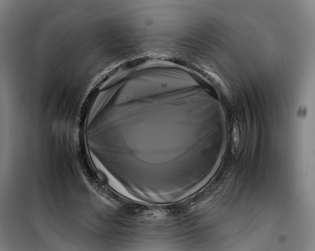 X0000099550492200806061520