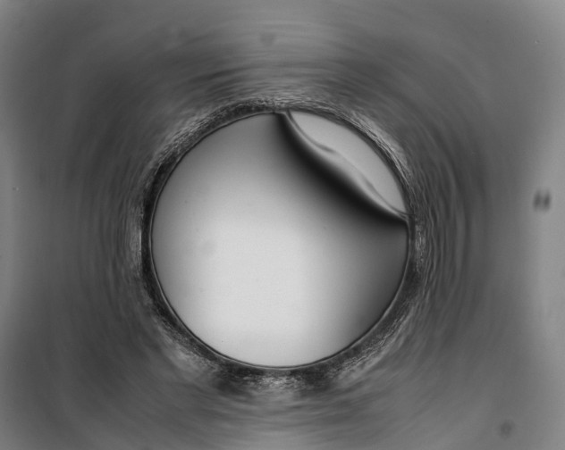 X0000099550493200806061520