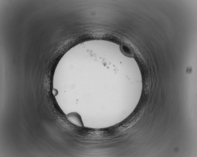 X0000099550497200806061520