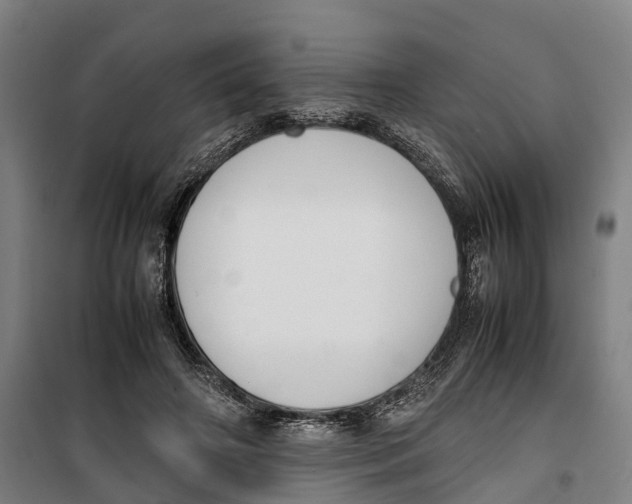 X0000099550498200806061520