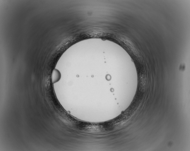 X0000099550499200806061520