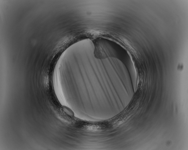 X0000099550500200806061520