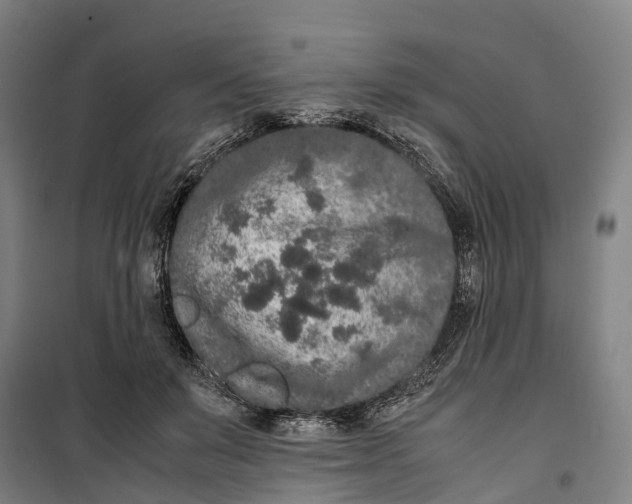 X0000099550503200806061520