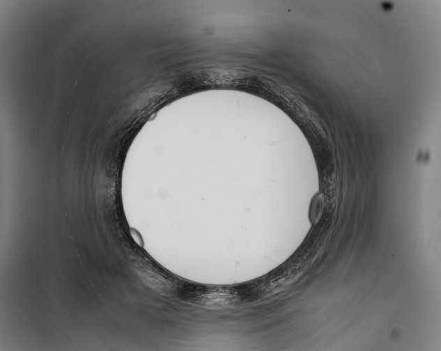 X0000099550505200806061520