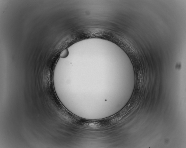 X0000099550506200806061520