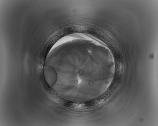 X0000099550507200806061520