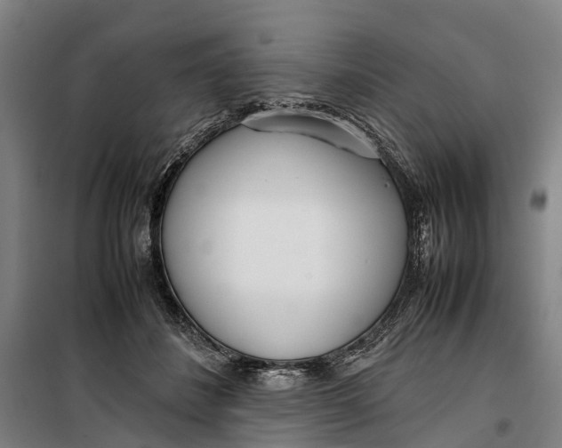 X0000099550508200806061520