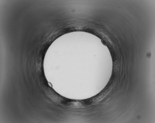 X0000099550509200806061520