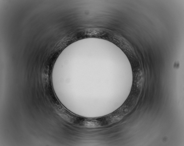 X0000099550510200806061520