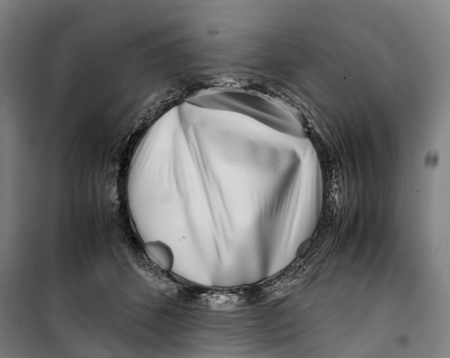 X0000099550512200806061520