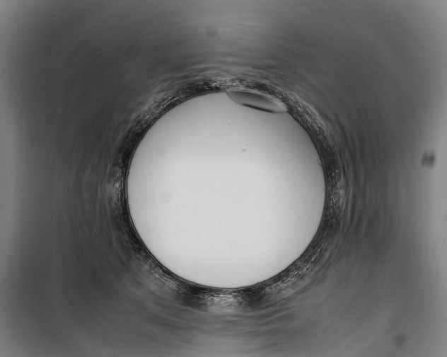 X0000099550513200806061520