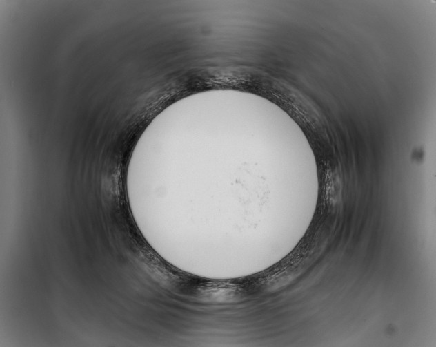 X0000099550514200806061520