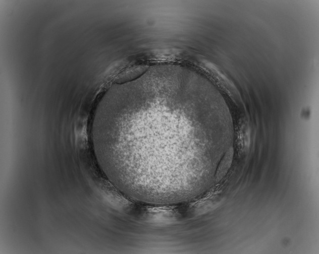 X0000099550516200806061519