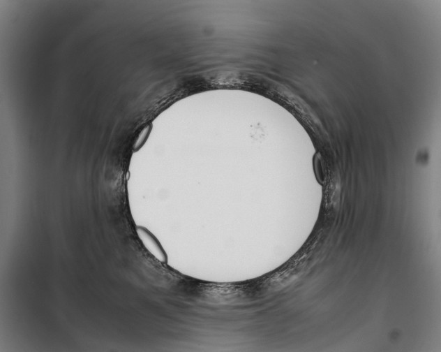 X0000099550521200806061519