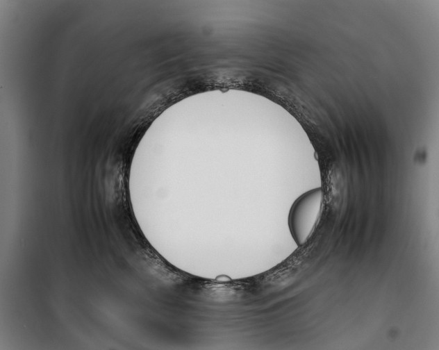 X0000099550522200806061519