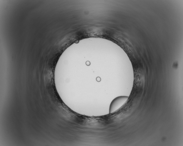 X0000099550523200806061519