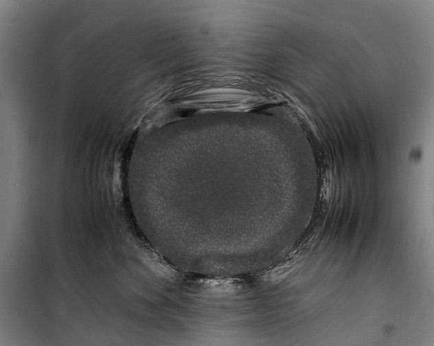 X0000099550524200806061519